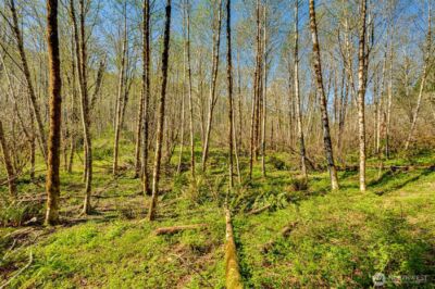 0 Buncombe Hollow Road NE, Woodland, WA 98674 - Photo 3