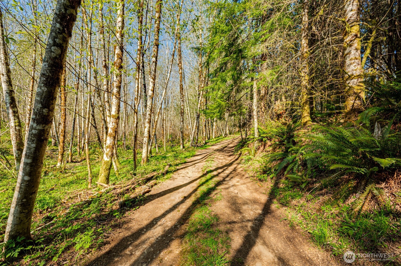 0 Buncombe Hollow Road NE, Woodland, WA 98674