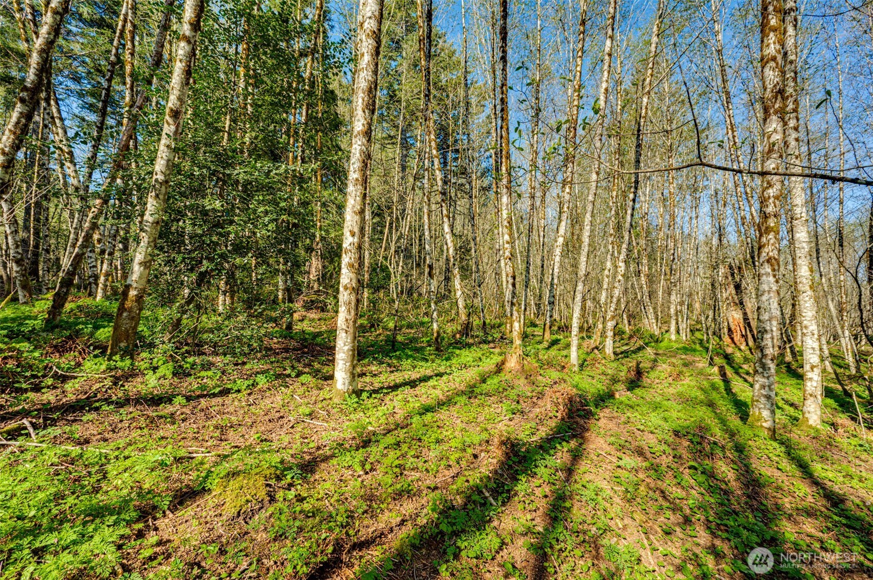 0 Buncombe Hollow Road NE, Woodland, WA 98674