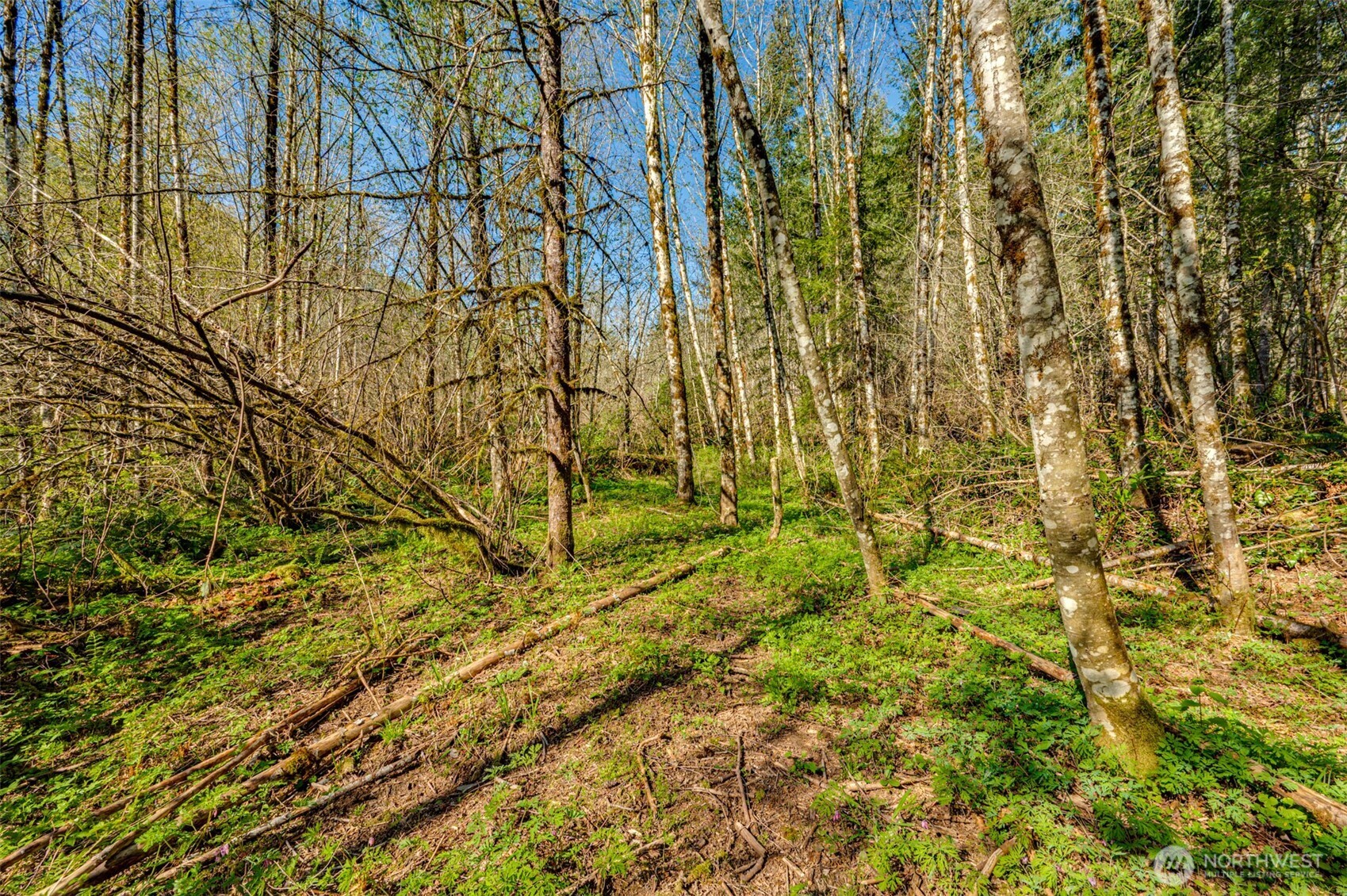 0 Buncombe Hollow Road NE, Woodland, WA 98674