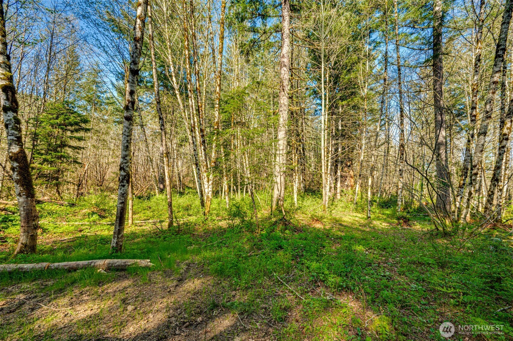 0 Buncombe Hollow Road NE, Woodland, WA 98674