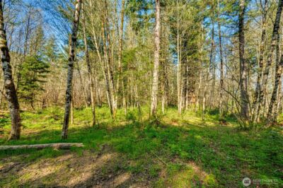 0 Buncombe Hollow Road NE, Woodland, WA 98674 - Photo 10