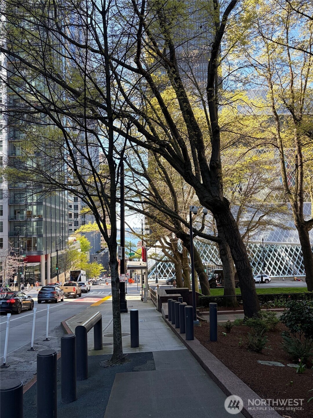 905 Cherry Street #306, Seattle, WA 98104