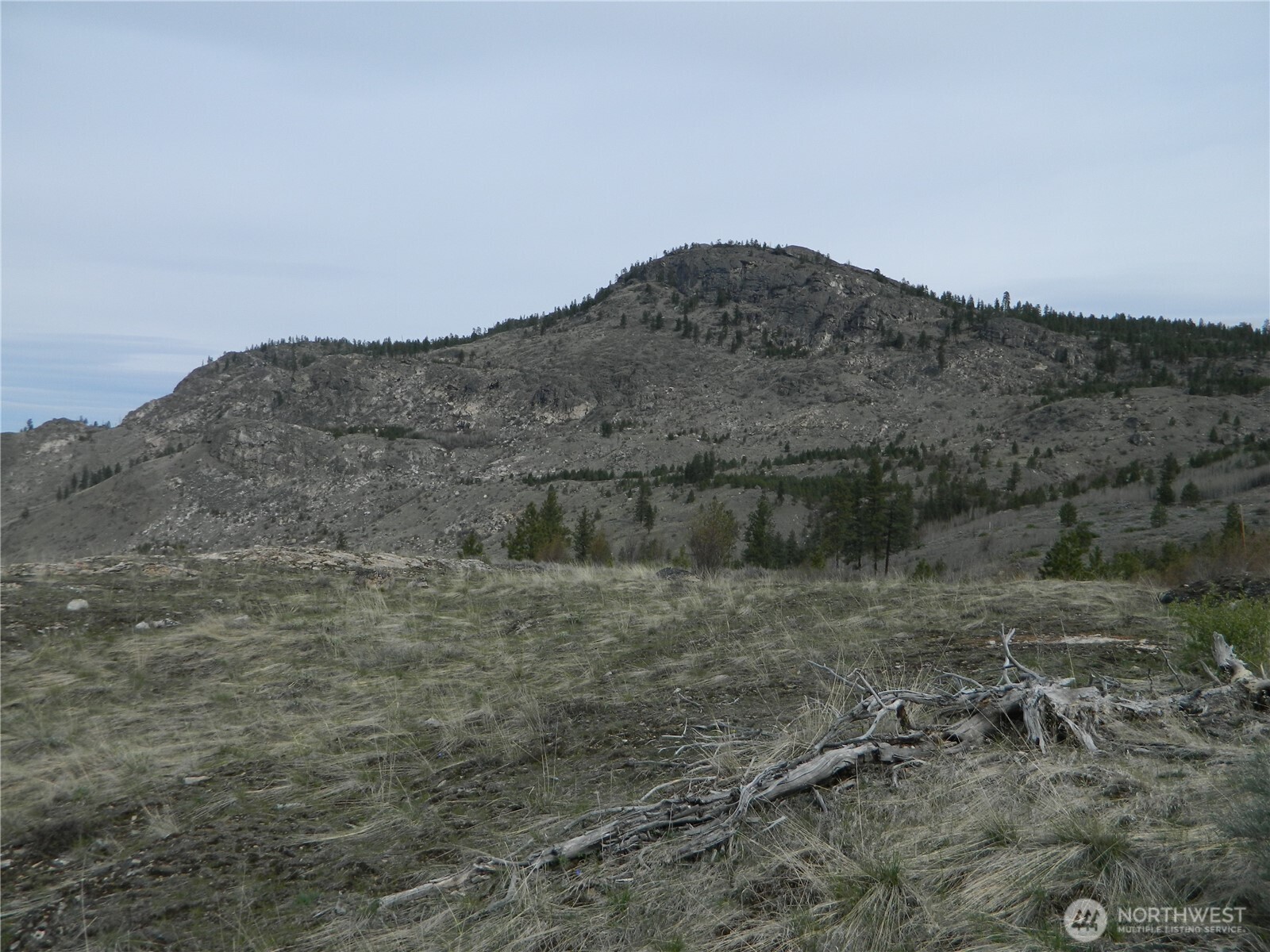 111 TBD Six Gun Way , Tonasket, WA 98855