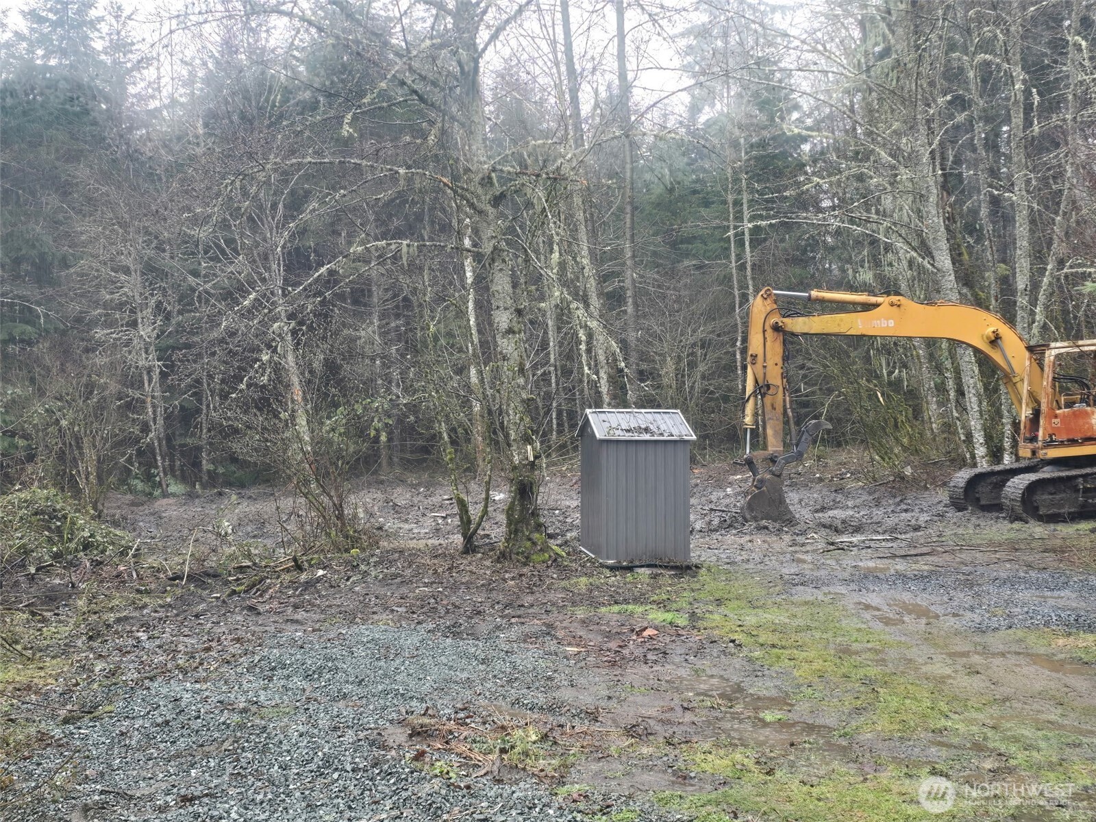 31401 556th Court E, Ashford, WA 98304