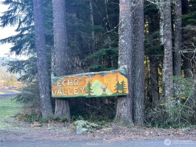 31401 556th Court E, Ashford, WA 98304 - Photo 2