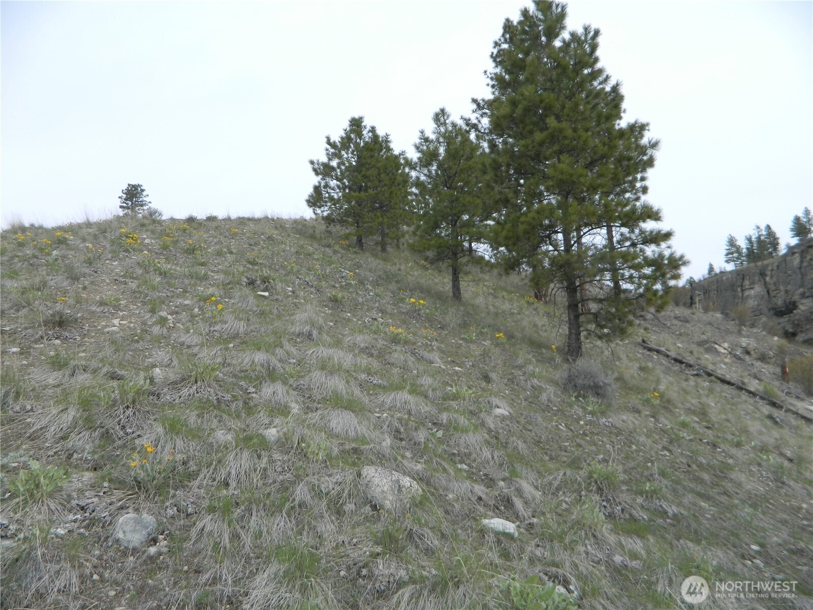 11 TBD Six Gun Way , Tonasket, WA 98855