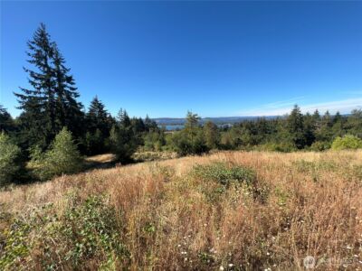300 Daves View Drive , Kalama, WA 98625