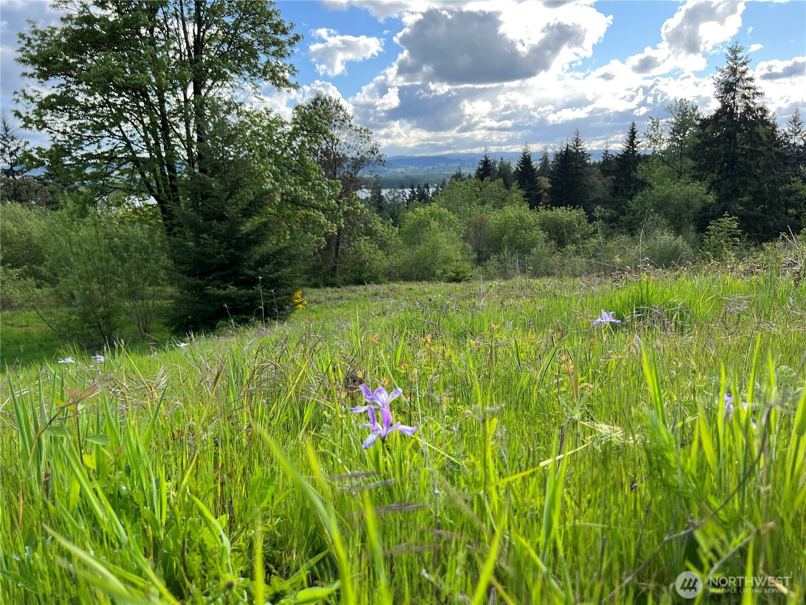 300 Daves View Drive , Kalama, WA 98625