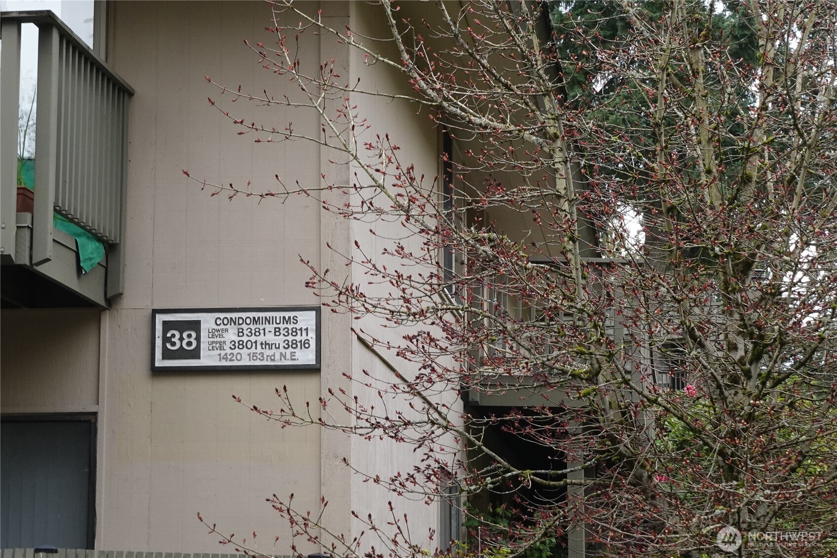 1420 153rd Avenue NE #3813, Bellevue, WA 98007
