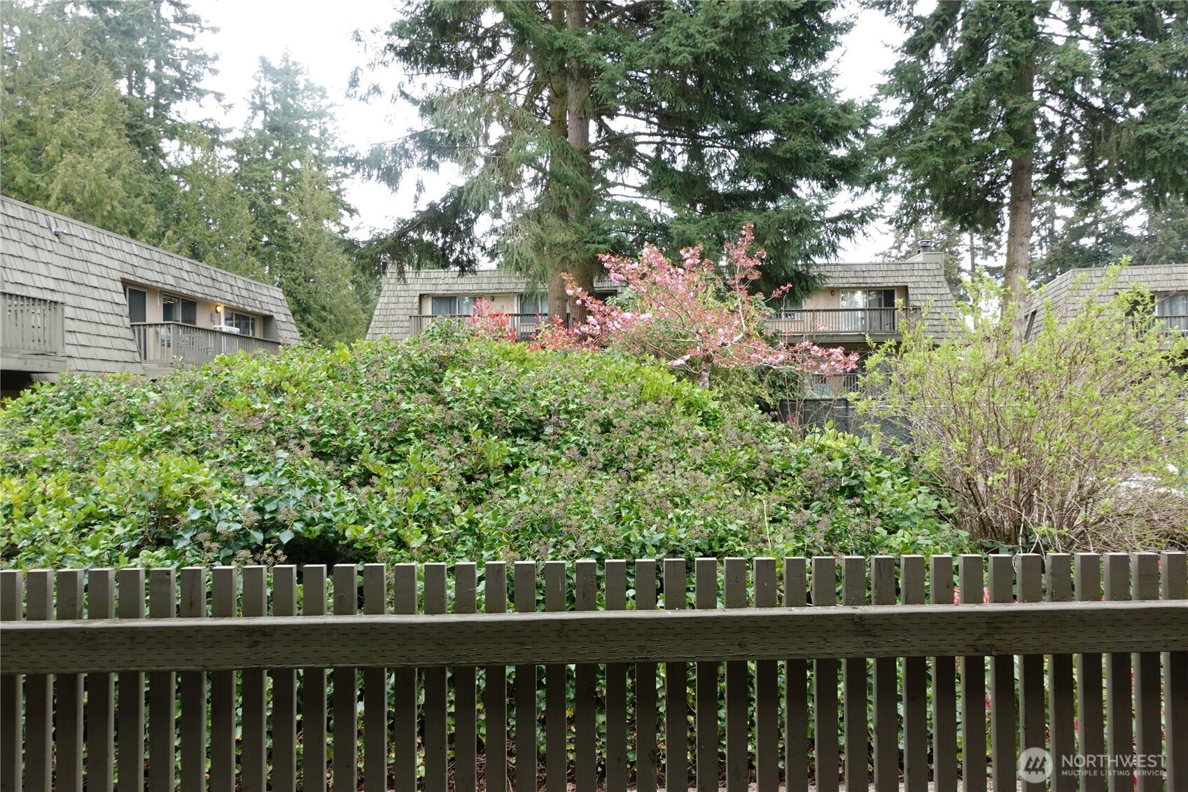 1420 153rd Avenue NE #3813, Bellevue, WA 98007