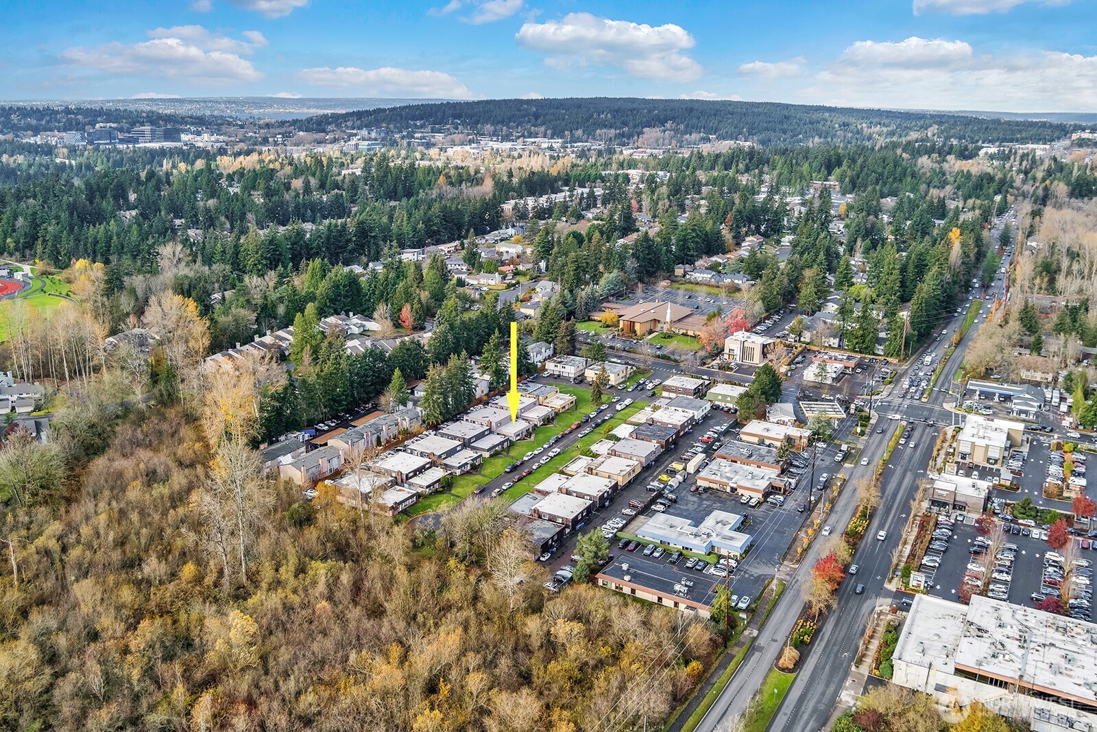 101 147th Ave SE , Bellevue, WA 98007