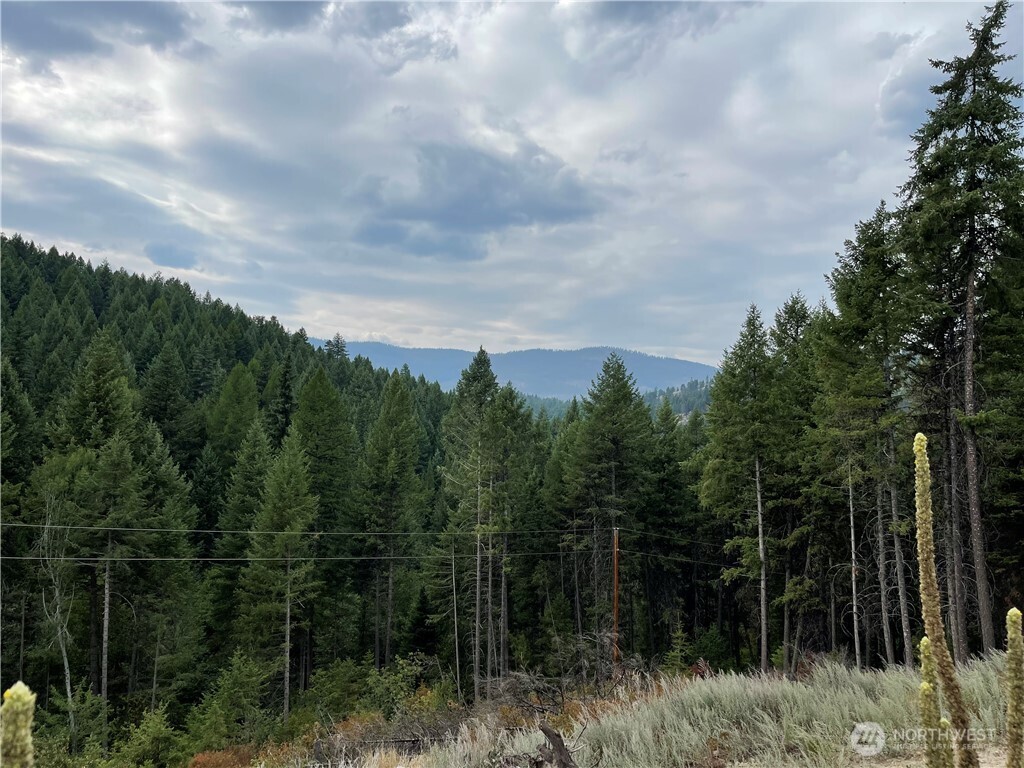57 Slippery Hill Lane , Republic, WA 99166