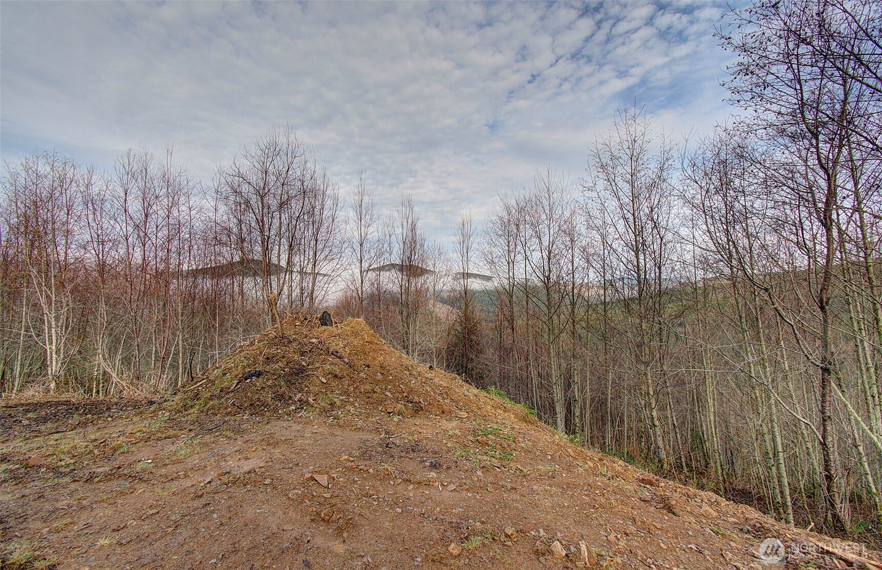 0 Remington Road , Kelso, WA 98626