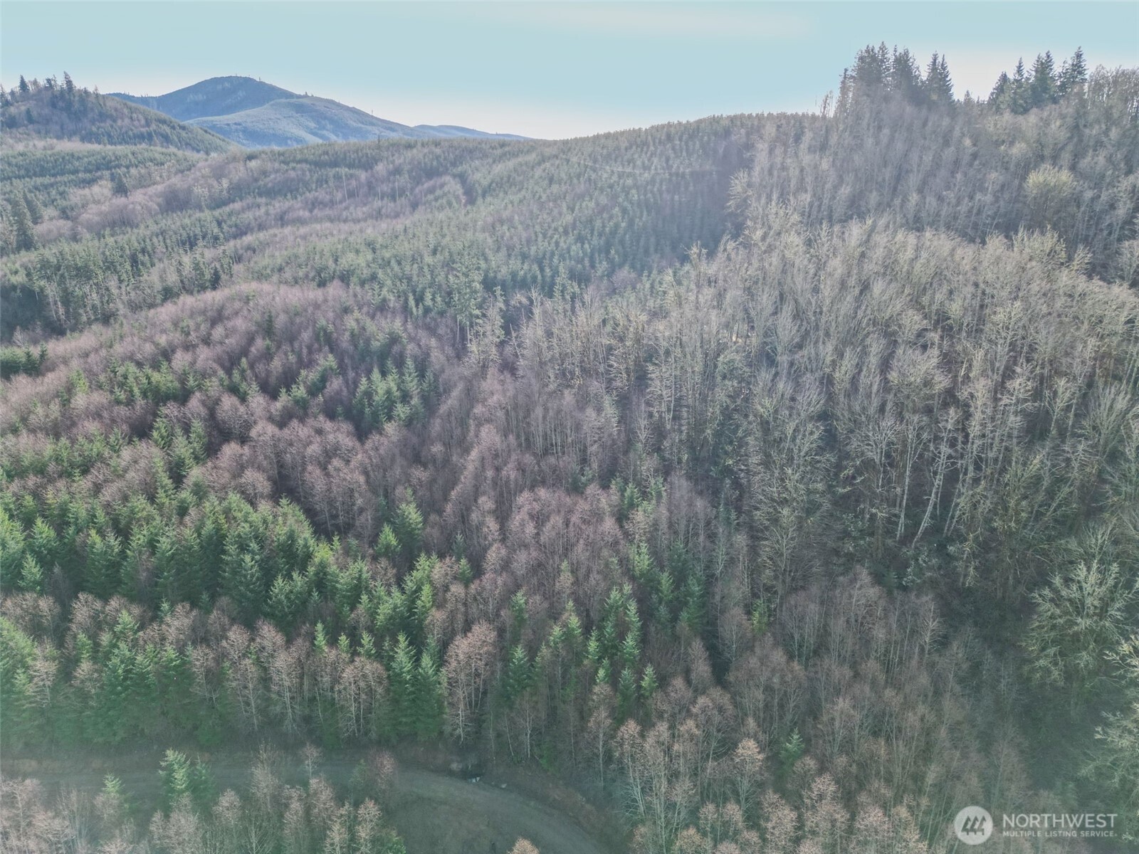 0 Remington Road , Kelso, WA 98626