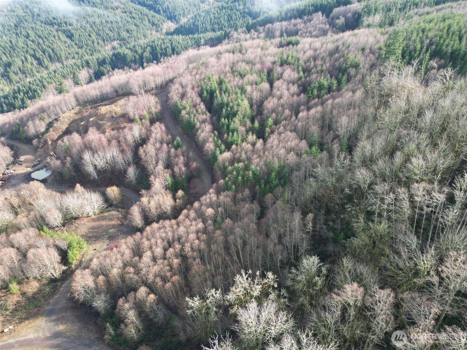 0 Remington Road , Kelso, WA 98626