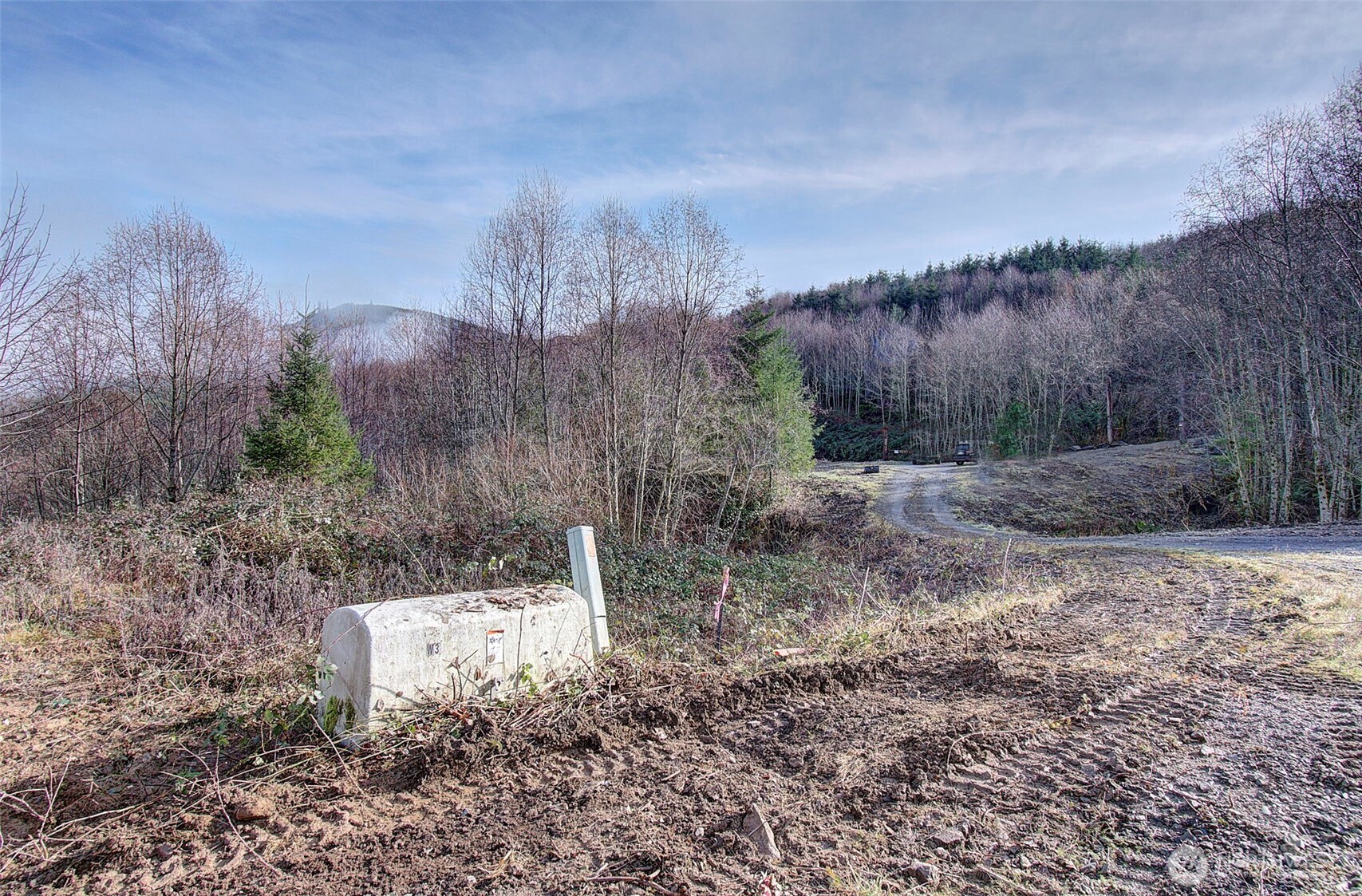 0 Remington Road , Kelso, WA 98626
