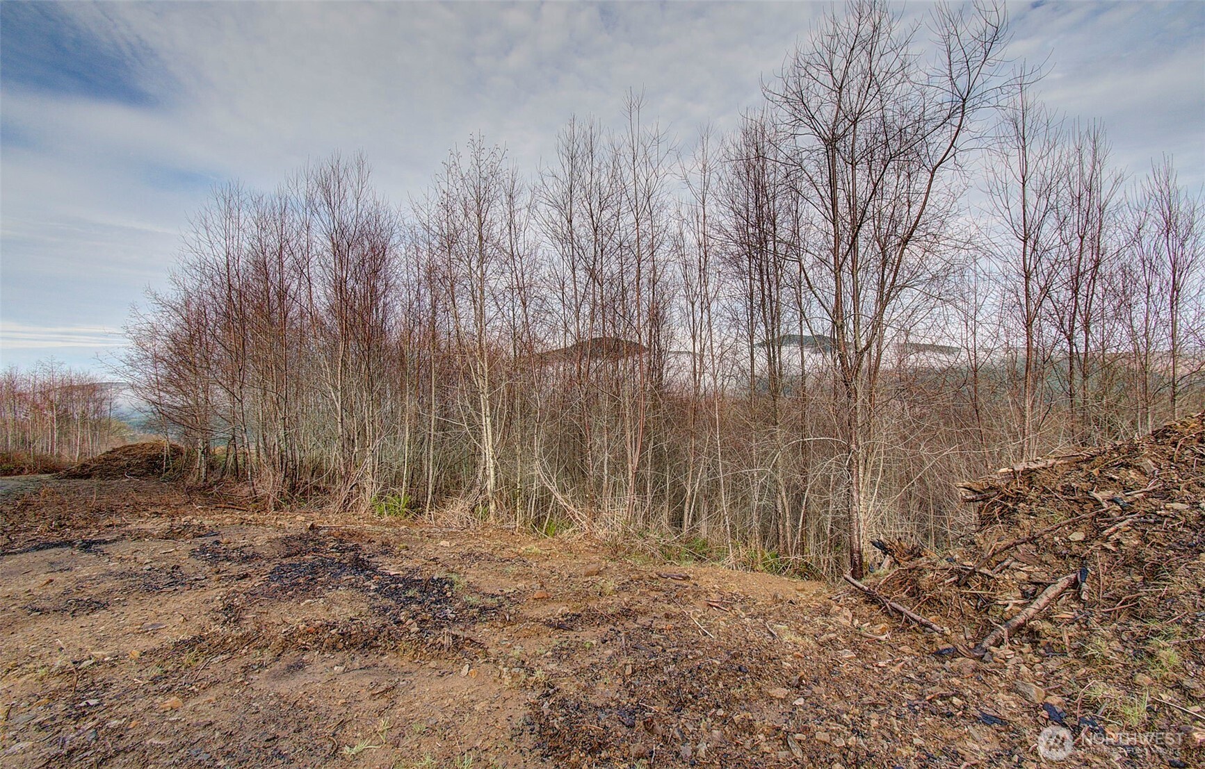 0 Remington Road , Kelso, WA 98626