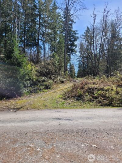 41325 109 Avenue Ct E, Eatonville, WA 98328