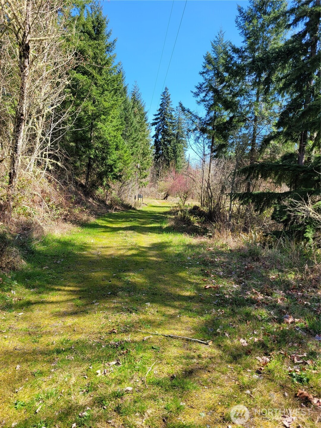 41325 109 Avenue Ct E, Eatonville, WA 98328