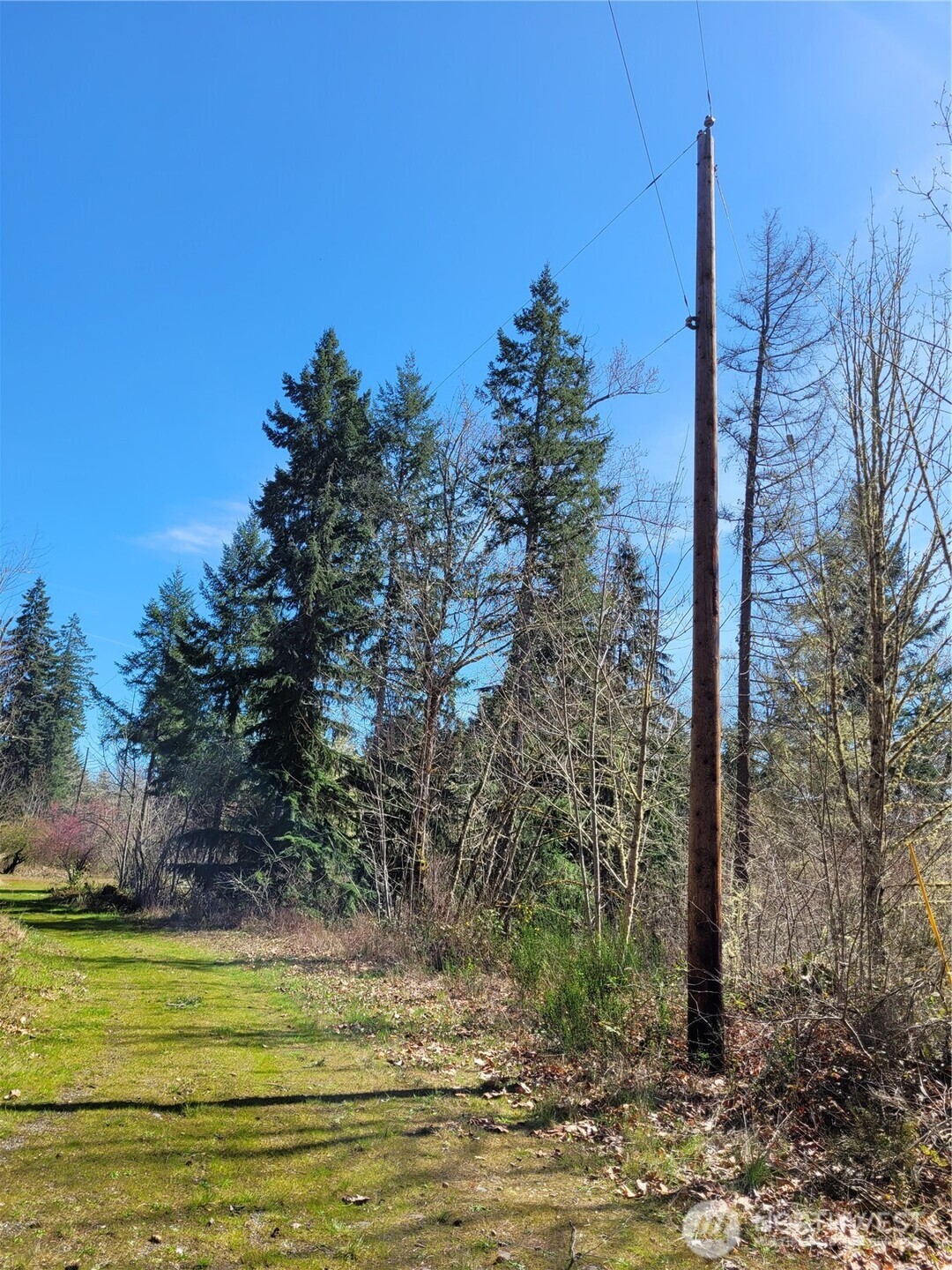 41325 109 Avenue Ct E, Eatonville, WA 98328