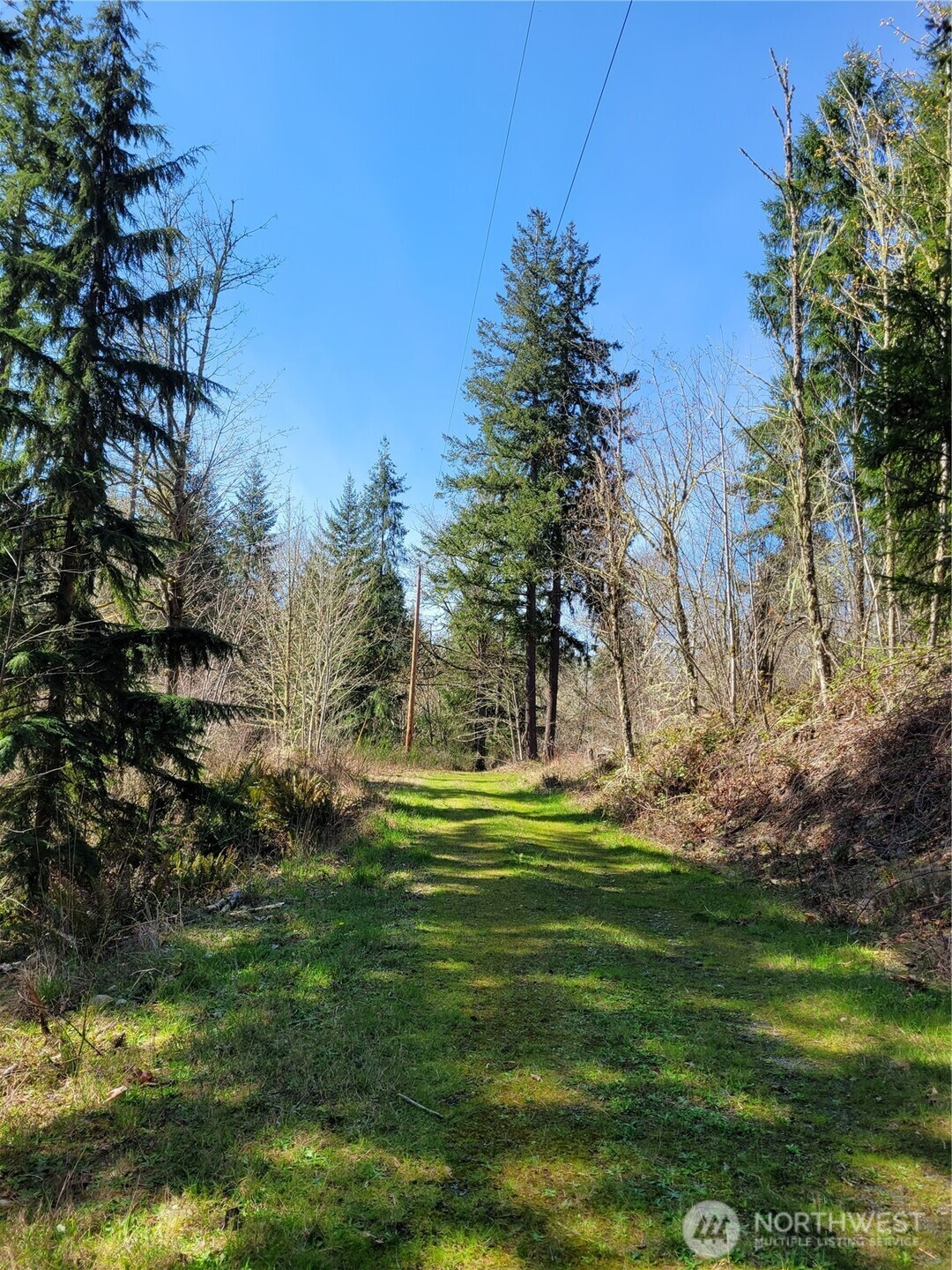 41325 109 Avenue Ct E, Eatonville, WA 98328