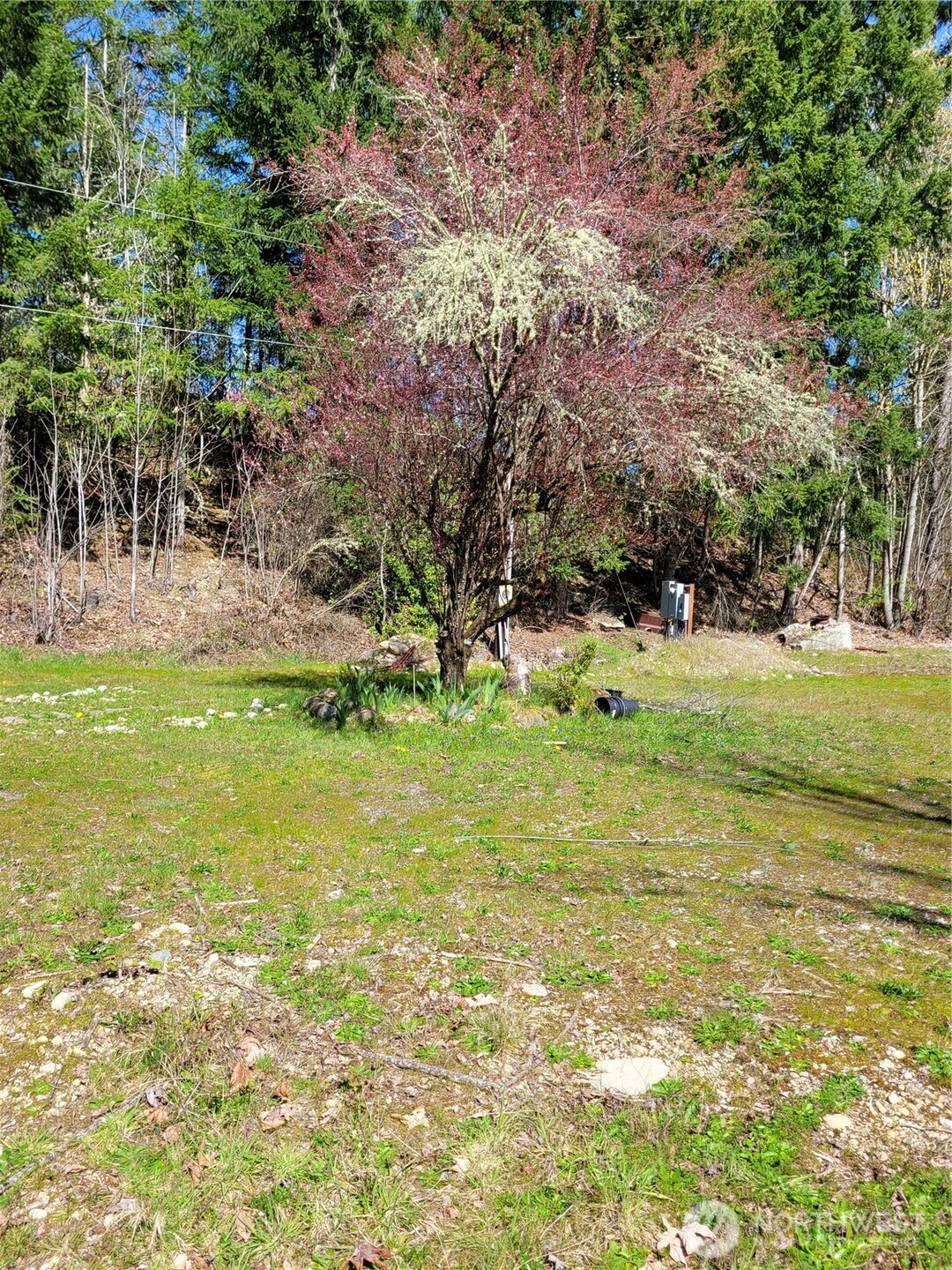 41325 109 Avenue Ct E, Eatonville, WA 98328