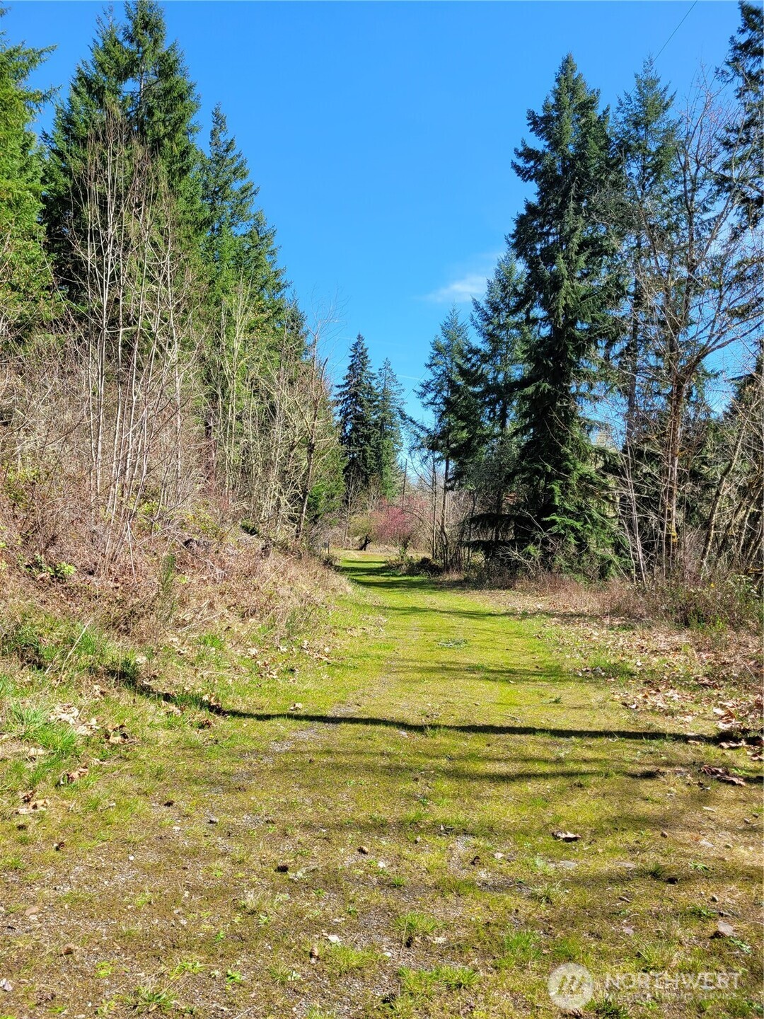 41325 109 Avenue Ct E, Eatonville, WA 98328