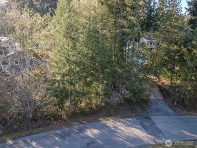 22025 Blue Water Drive SE, Yelm, WA 98597 - Photo 6