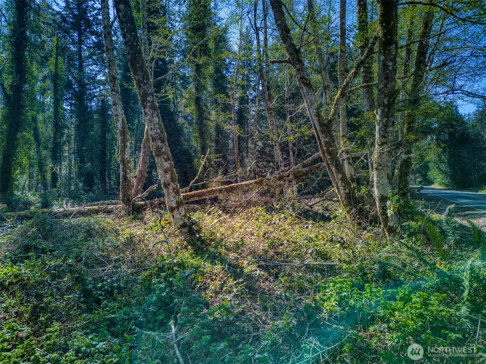0 Whiteman Rd SW, Lakebay, WA 98349