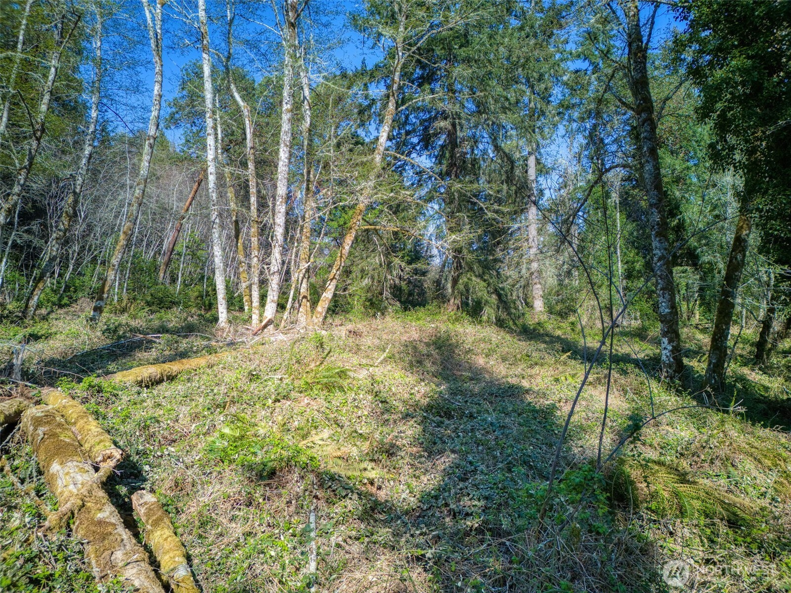 0 Whiteman Rd SW, Lakebay, WA 98349