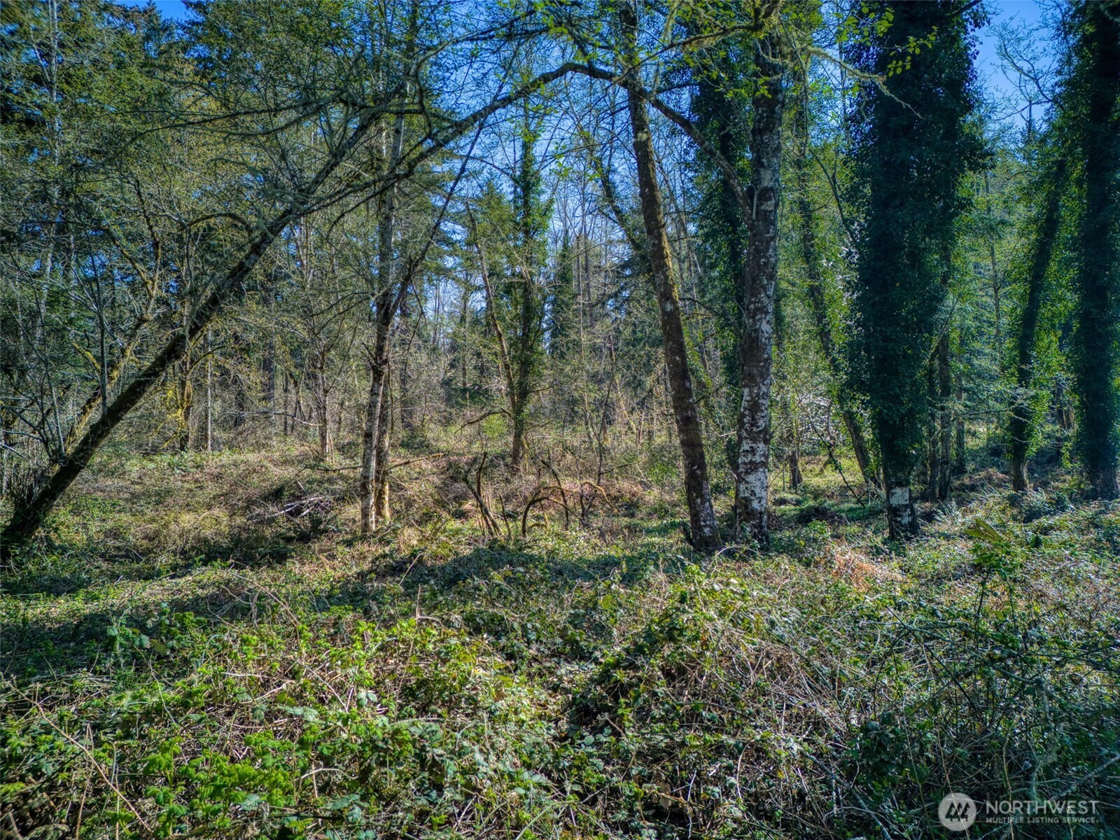 0 Whiteman Rd SW, Lakebay, WA 98349