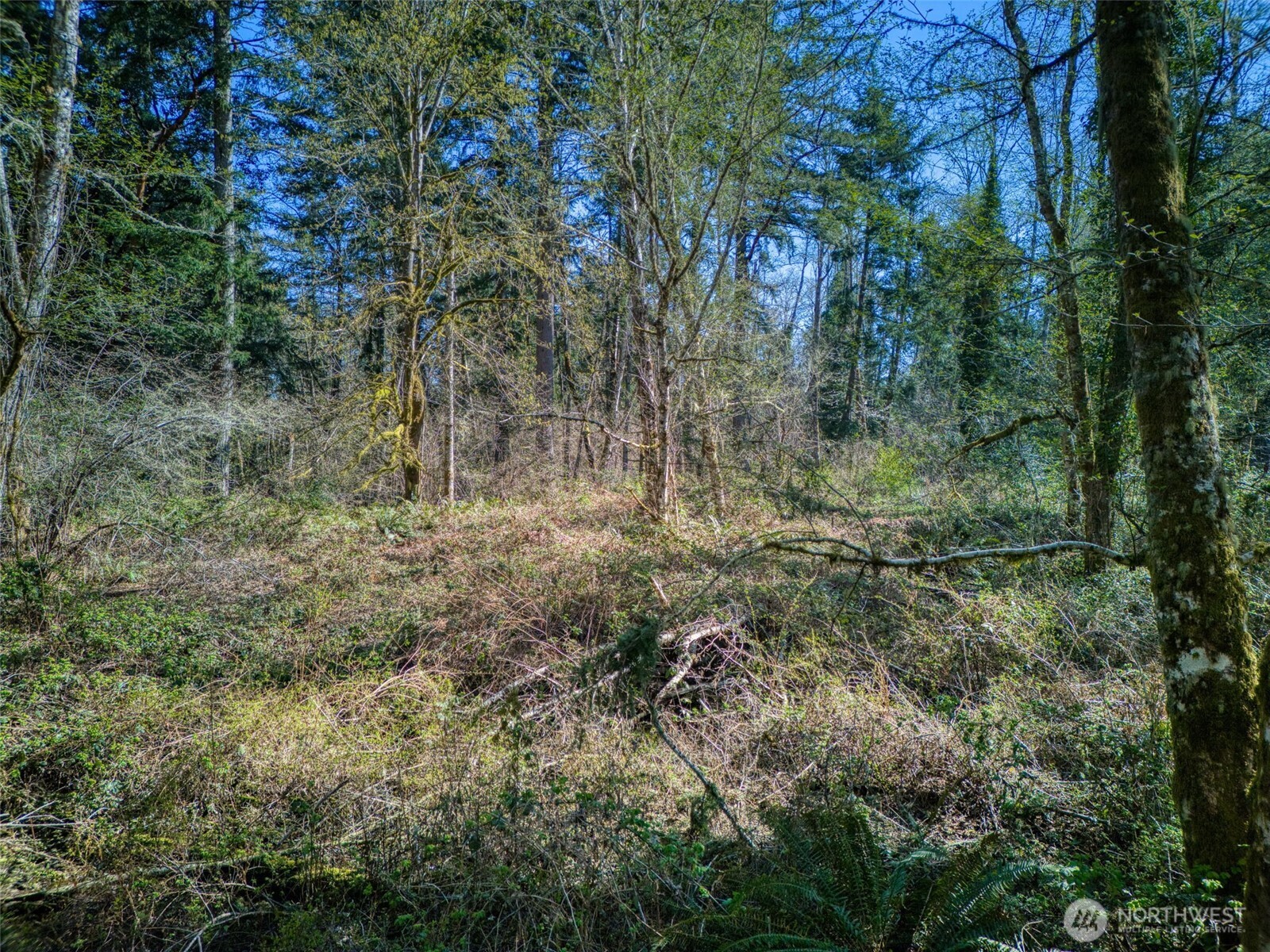 0 Whiteman Rd SW, Lakebay, WA 98349