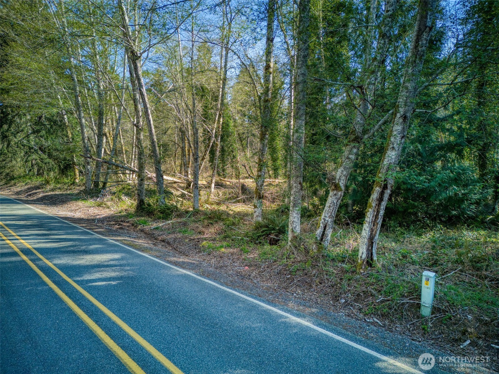 0 Whiteman Rd SW, Lakebay, WA 98349