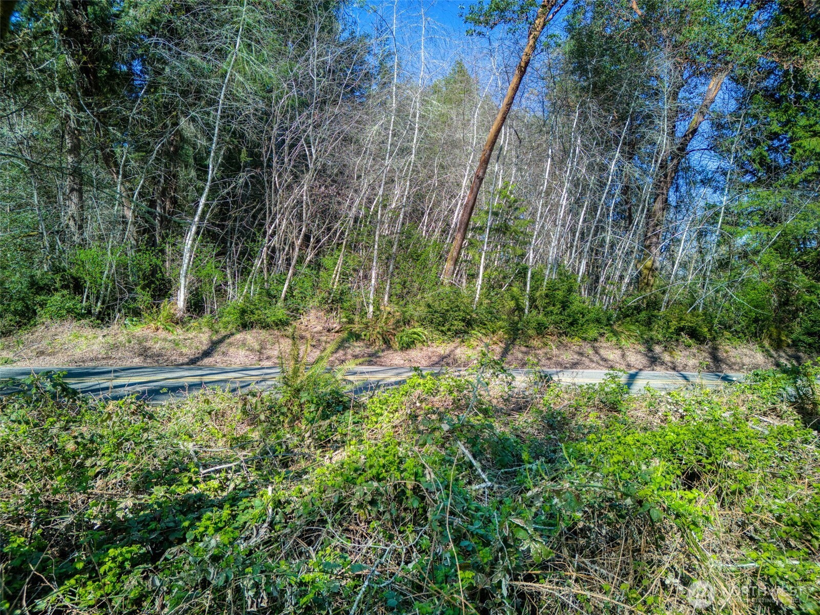 0 Whiteman Rd SW, Lakebay, WA 98349