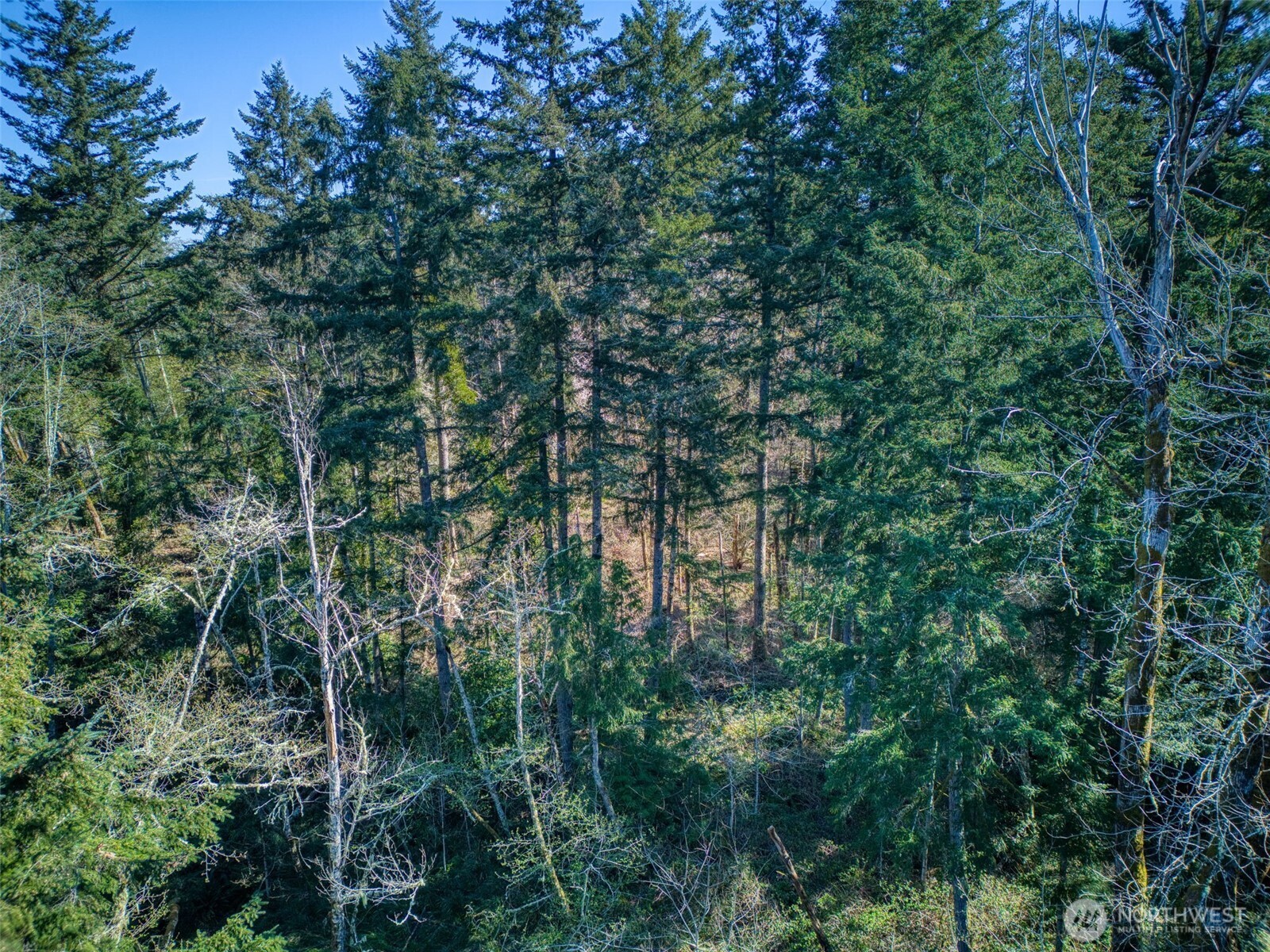 0 Whiteman Road SW, Lakebay, WA 98349