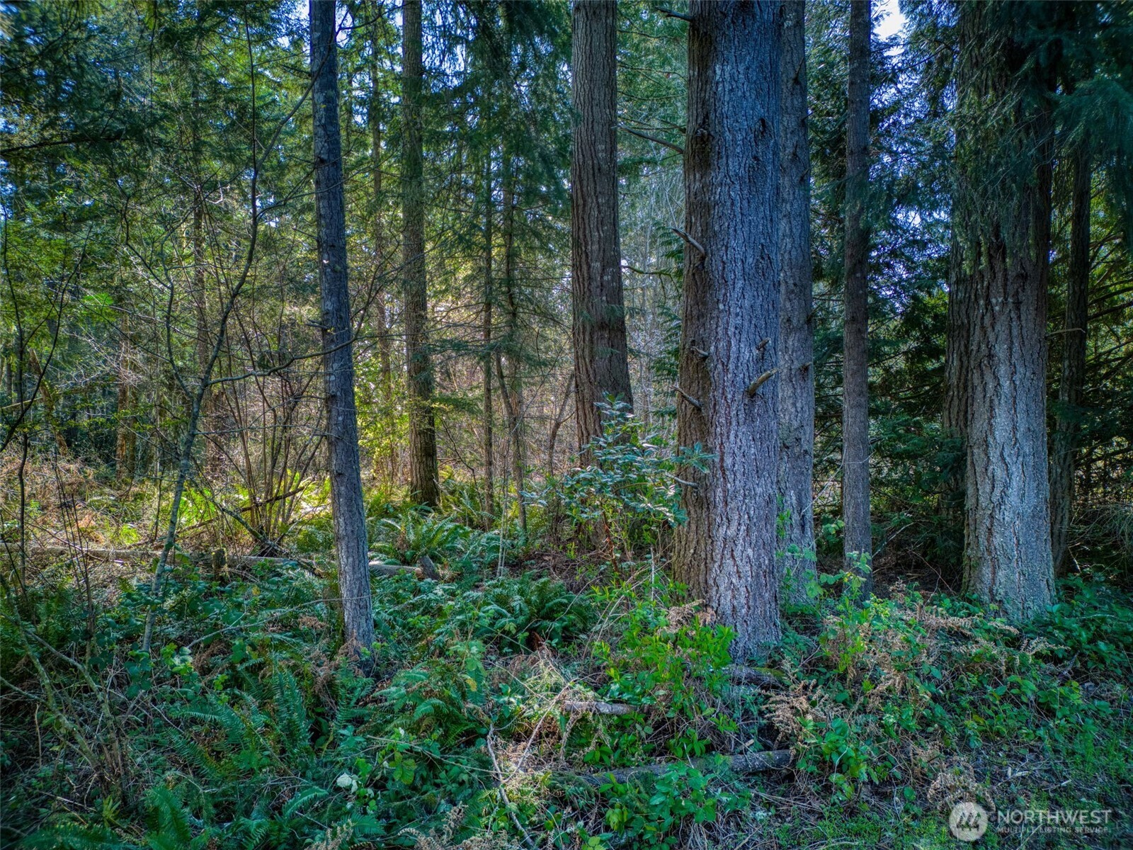 0 Whiteman Road SW, Lakebay, WA 98349