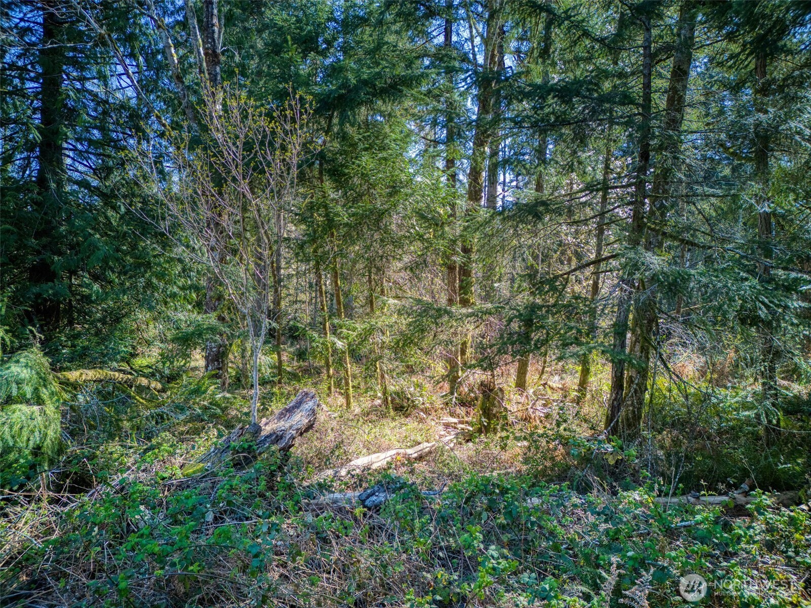 0 Whiteman Road SW, Lakebay, WA 98349
