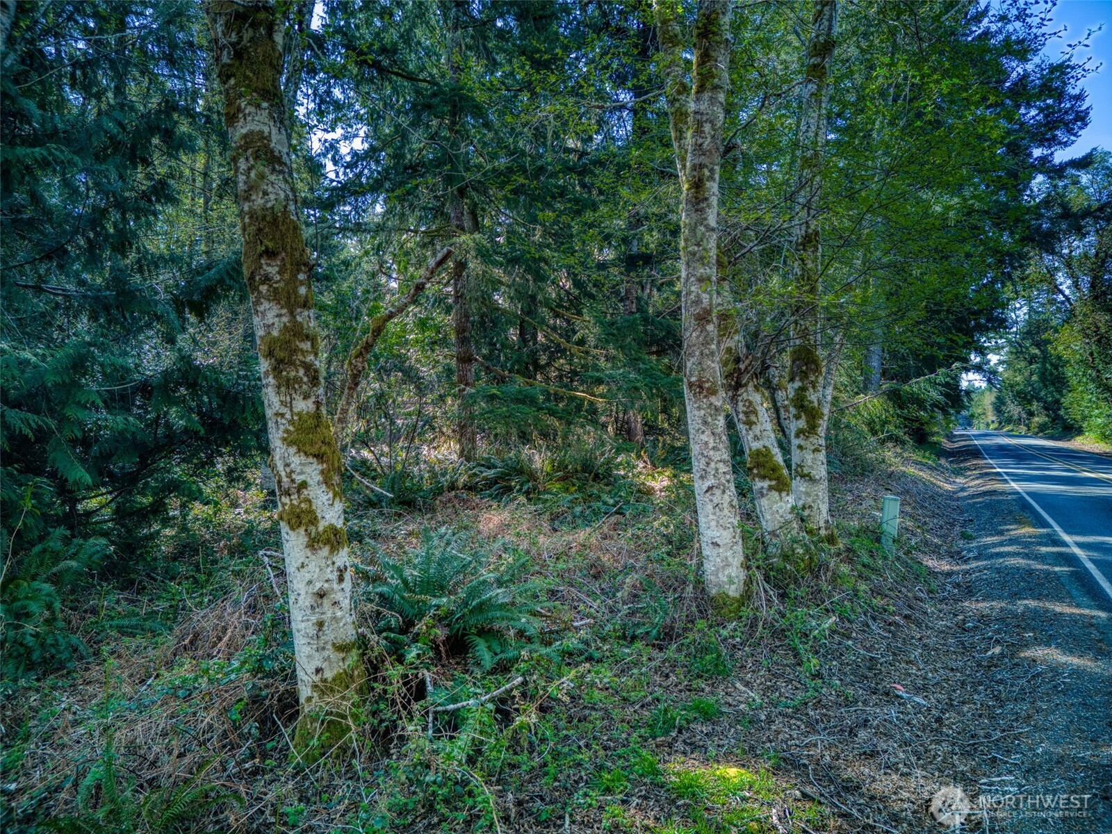 0 Whiteman Road SW, Lakebay, WA 98349