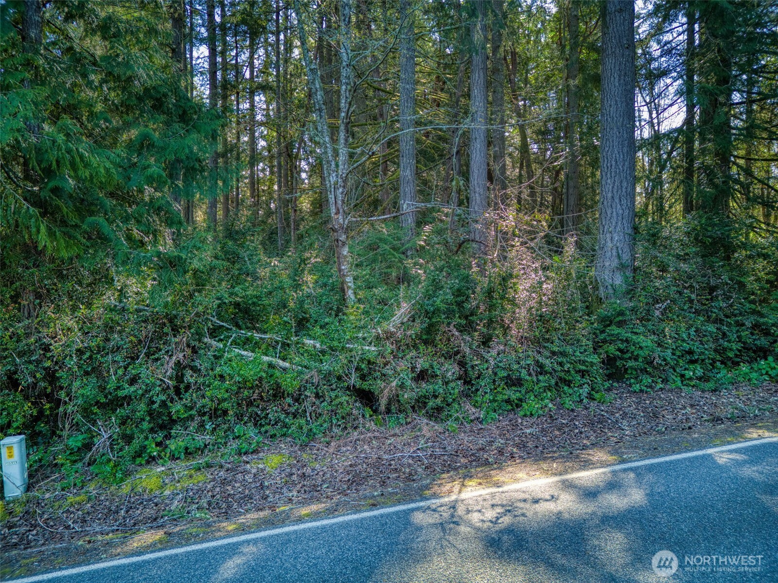 0 Whiteman Road SW, Lakebay, WA 98349