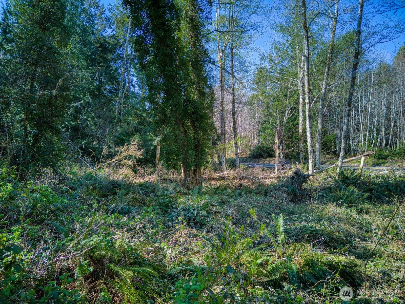 0 Whiteman Road SW, Lakebay, WA 98349