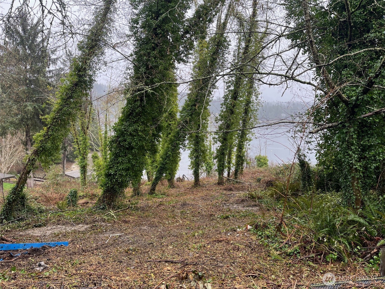 2415 48th Avenue NW, Gig Harbor, WA 98335