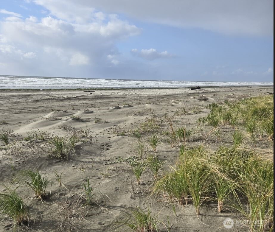 47 XX State Route 105 S, Grayland, WA 98547