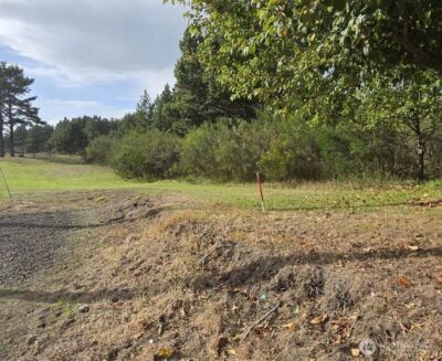 47 XX State Route 105 S, Grayland, WA 98547 - Photo 12