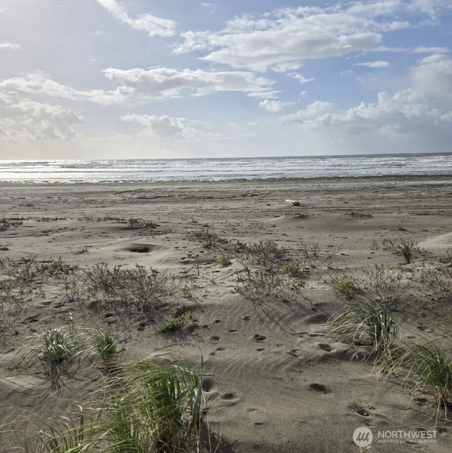 47 XX State Route 105 S, Grayland, WA 98547