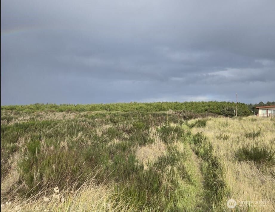 47 XX State Route 105 S, Grayland, WA 98547