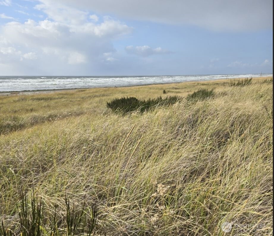 47 XX State Route 105 S, Grayland, WA 98547