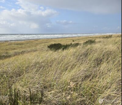 47 XX State Route 105 S, Grayland, WA 98547 - Photo 6