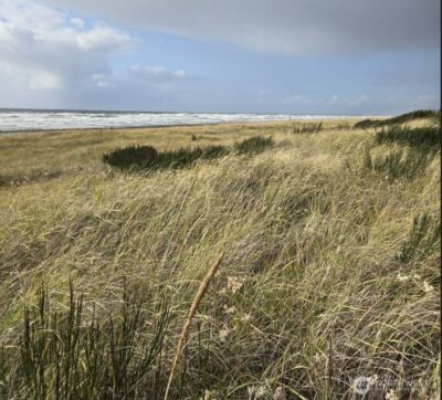 47 XX State Route 105 S, Grayland, WA 98547 - Photo 9