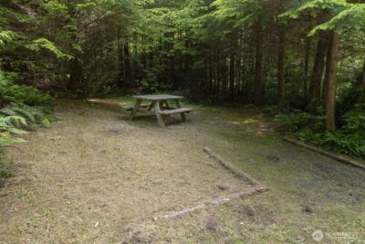 20860 Hoko-Ozette Rd , Clallam Bay, WA 98326 - Photo 20